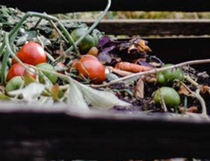 Composteur de jardin : le bac individuel pour faire son compost