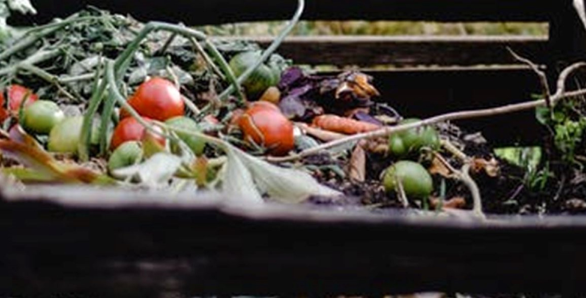 Composteur de jardin : le bac individuel pour faire son compost