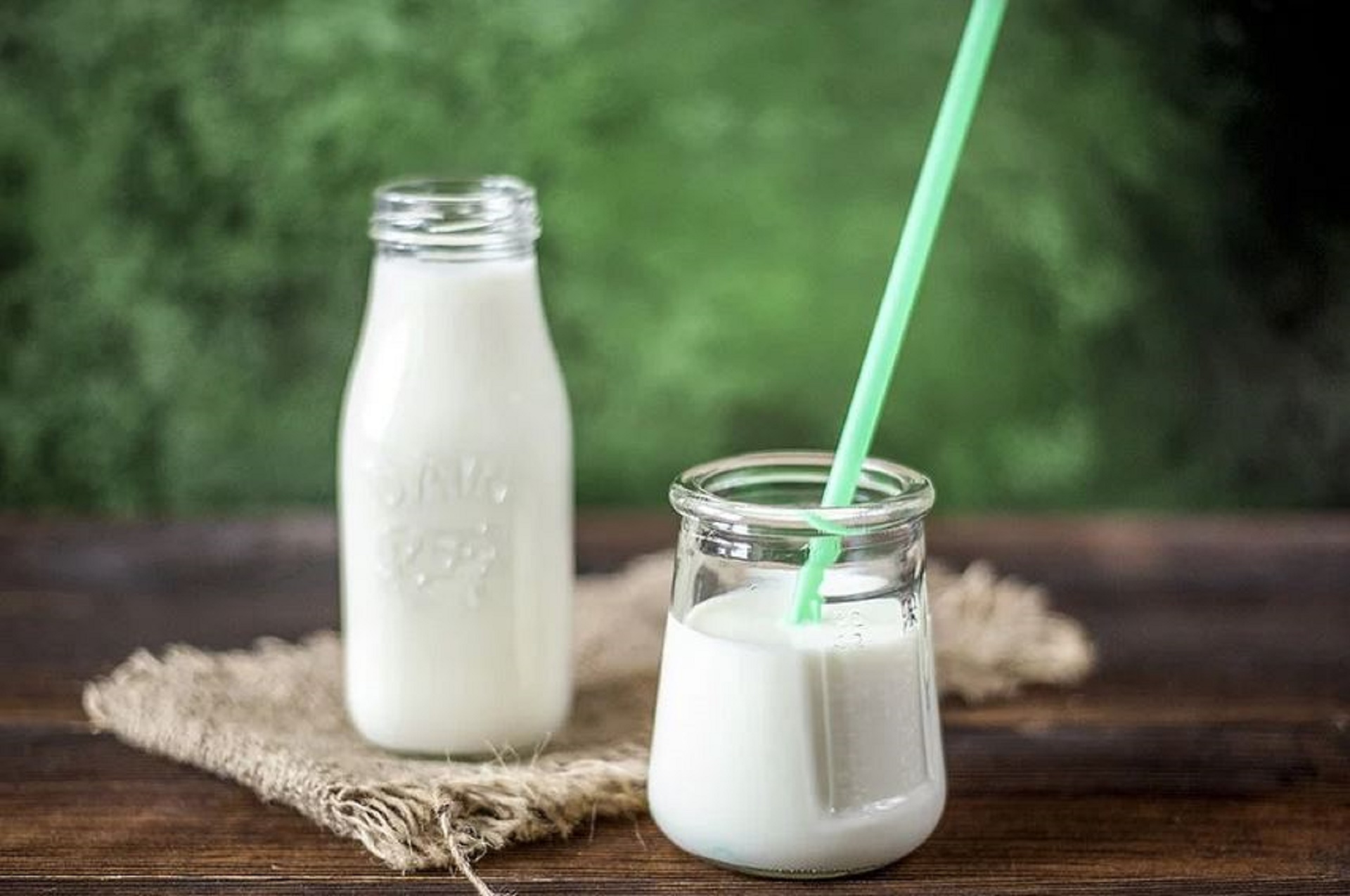 Le yaourt, une source de micro-organismes bons pour notre microbiote
