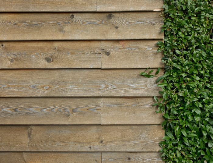 Bardage bois : pourquoi choisir le revêtement en bois pou votre maison ?